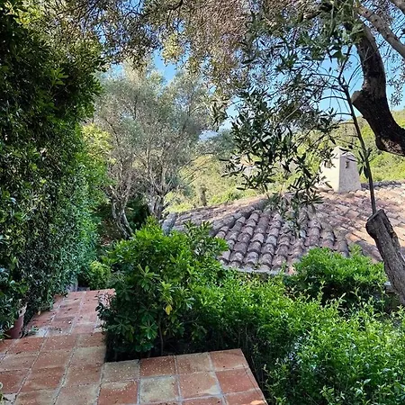 In Portocervo, Pool, 3 Bedrooms, Sea View 别墅 Abbiadori